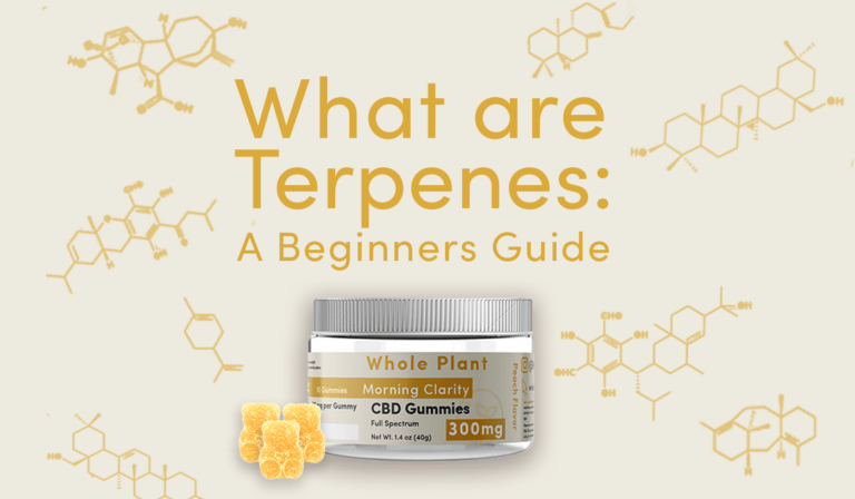 What Are Terpenes: A Beginners Guide