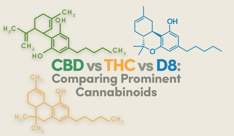 CBD vs THC vs D8: Comparing Prominent Cannabinoids