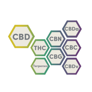 Cannabis Hemp Compounds