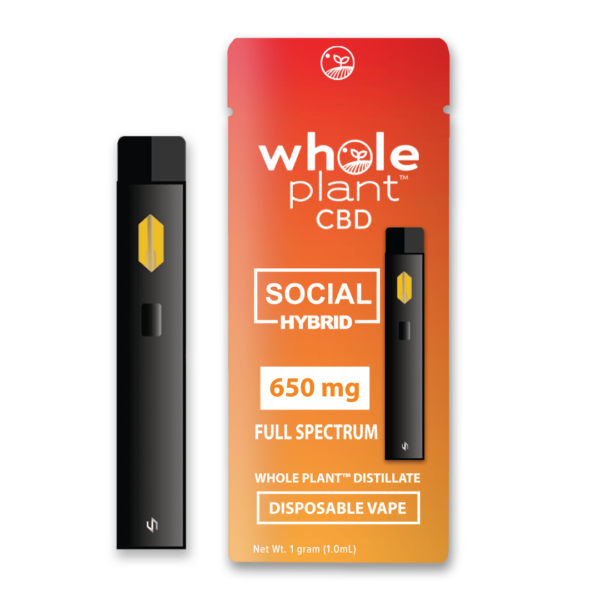 CBD Hybrid Disposable Vape - Social