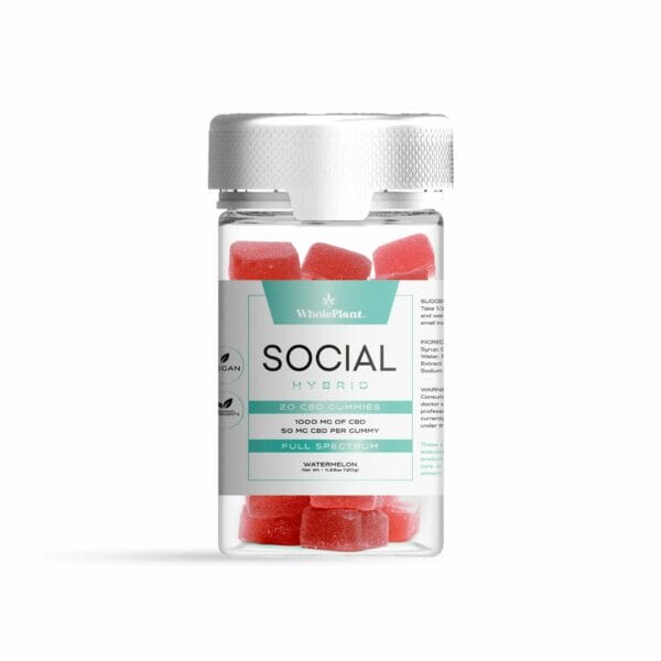 WP Social Hybrid CBD Gummies 1000mg